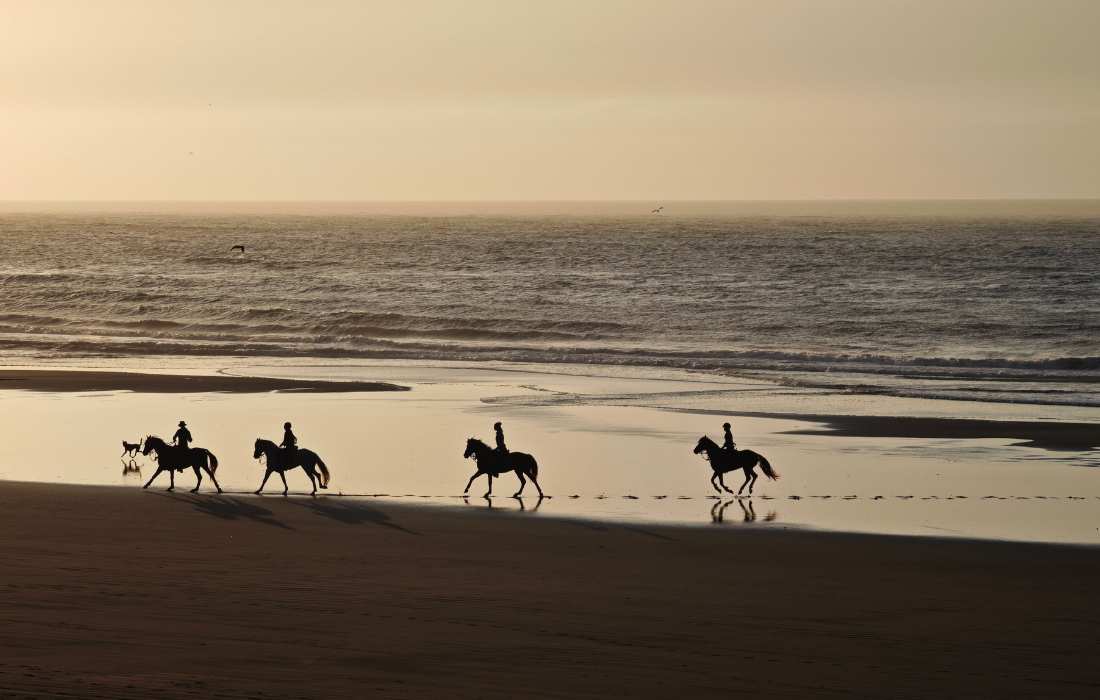 Balade à cheval sur la plage de Bhaibah au Maroc