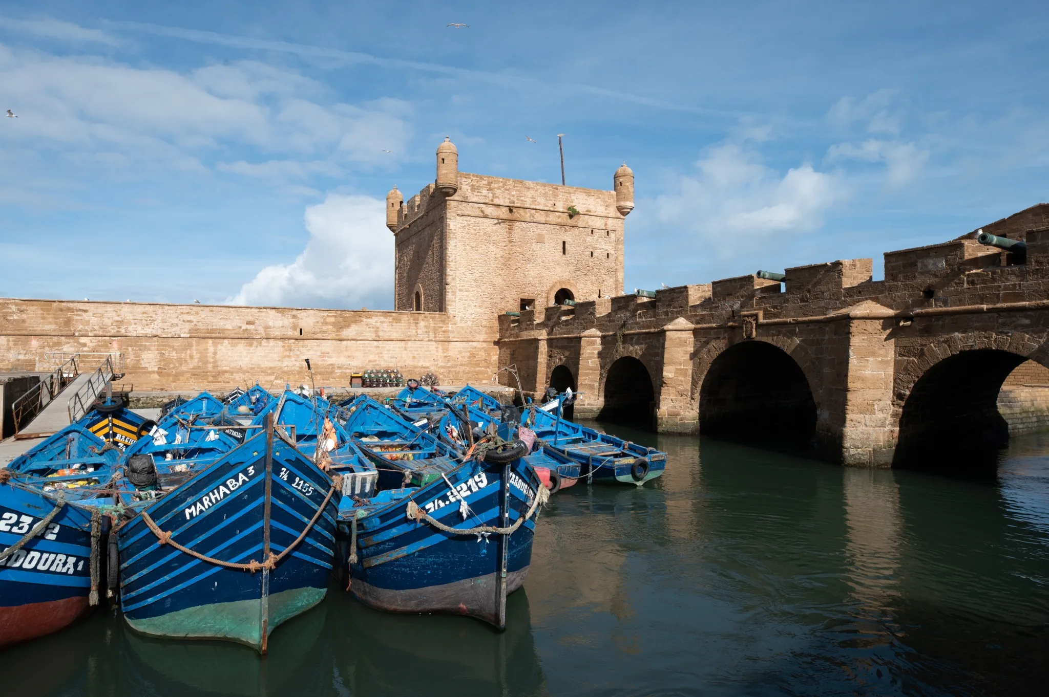 Port de pêche d'Essaouira au Maroc